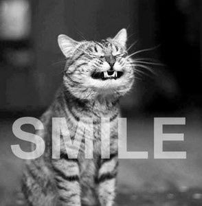 Meet your Posher, Terri